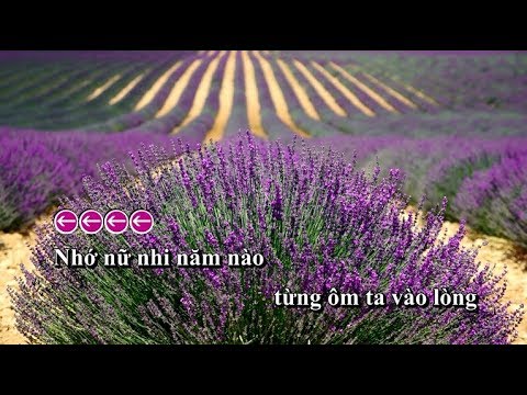 [Karaoke]  HỒN TRÔI | DR A x YUN x VERCYNUS