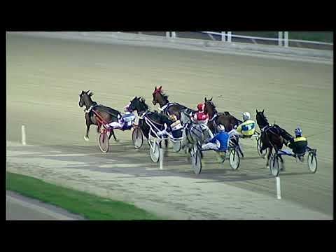 Trotto 27/12/2020 - 8ª corsa