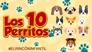 Los Diez Perritos - Grupo Magamascar / Discos Fuentes