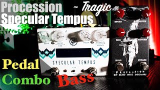 Effect Pedal Combo Bass: Specular Tempus Shimmer Algorithm GFI System+Procession Flange OBNE~Tragic~
