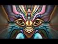 lotus - lou carcohl animation