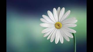 Louise Hay Coletânea de Meditações Guiadas