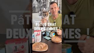 Pâtée chat : 2 Gammes ! #chat #cat #conseils #alimentation