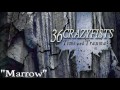 36 Crazyfists - Marrow (feat Stephanie Plate)