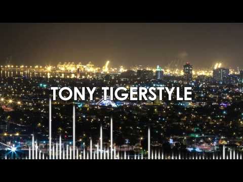 Tony Tigerstyle - W.A.R. (Weakness And Recovery)