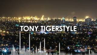 Tony Tigerstyle - W.A.R. (Weakness And Recovery)