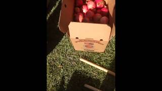 Congratulations to Fred Wolinsky for winning our #pomegranate picking contest. He has donated his wi