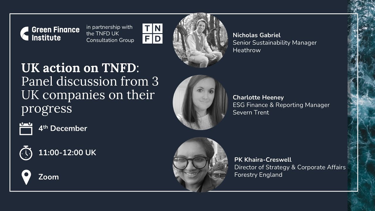 UK actin on TNFD - Q4 2025