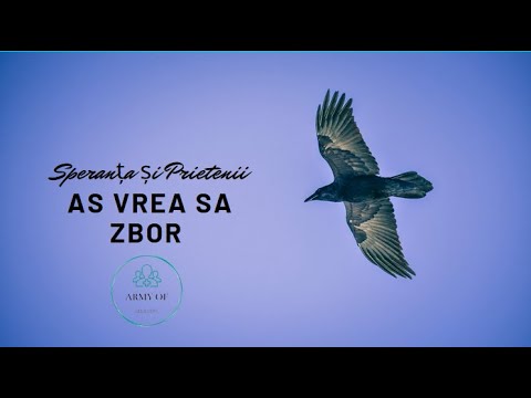 As vrea sa zbor - Speranța și Prietenii /cu versuri