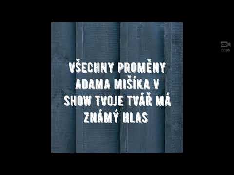 Všechny proměny - Adam Mišík