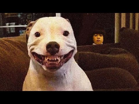 ALL OF r/ODDLYTERRIFYING