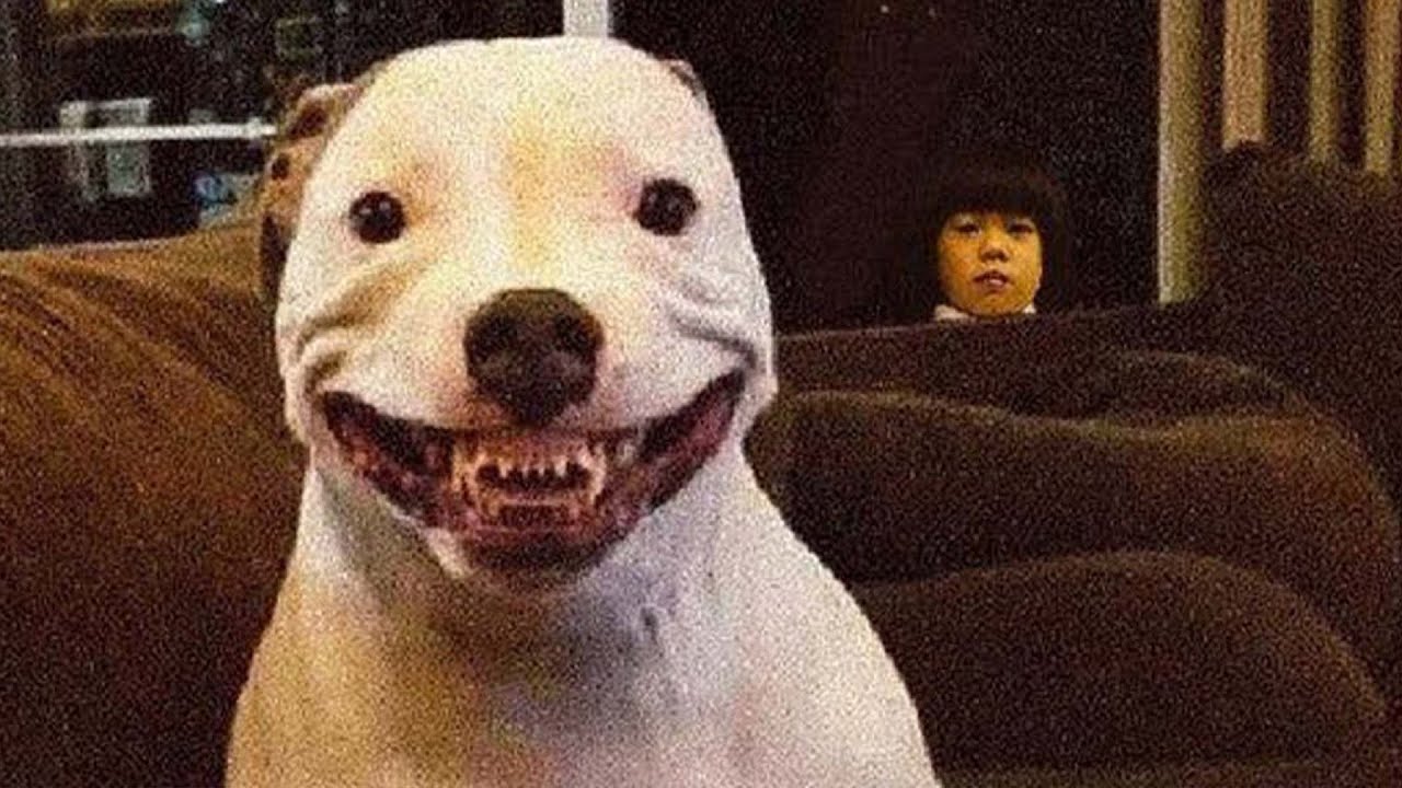 ALL OF r/ODDLYTERRIFYING