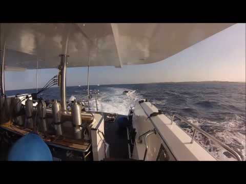 Apnoe Safari 2016 auf der Blue - Südtour - St. Johns