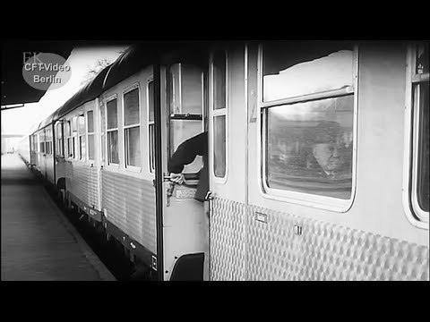 Silberlinge und ihre Zugpferde.