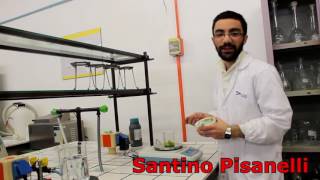 Videolab Zanichelli 2017 - Estrazione DNA - I.I.S.S. Pacinotti Taranto