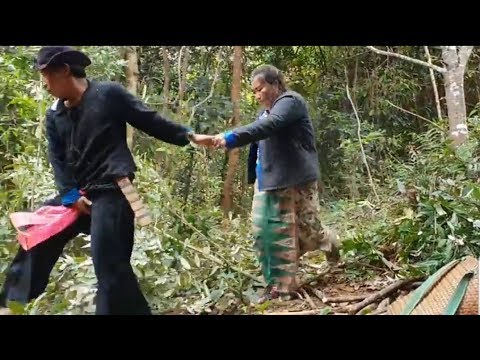 download lagu mp3 mp4 Hlos, download lagu Hlos gratis, unduh video klip Hlos