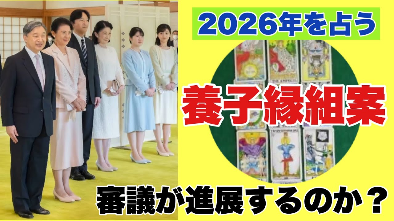 【2026年を占う】養子縁組案が進展するのか？