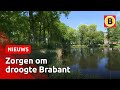 Droogte teistert Brabant: eind nog niet in zicht | Omroep Brabant