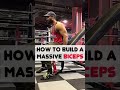 How to build bigger Biceps #fitness #bodybuilding #shorts