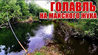 Крючки для ловли голавля на майского жука