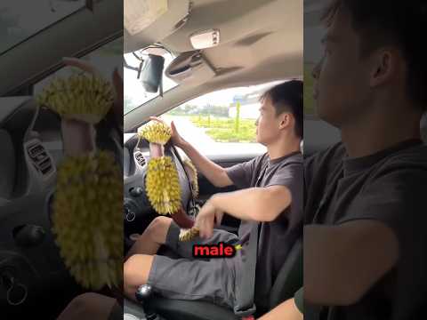 Ha messo delle SPINE sul volante per come guidava!🤯