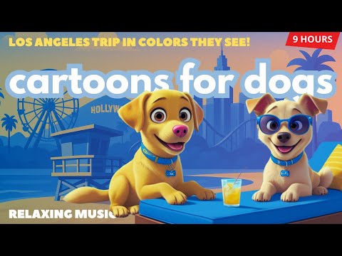 Luna Adventure in LA! 🌴 Cartoons for Dogs to Watch, in Colors They Can See! 🐶With Calming Music ✨