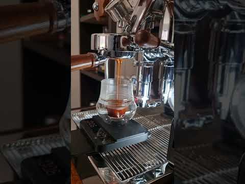 Daily Espresso | Bottomless Portafilter | Lelit Bianca