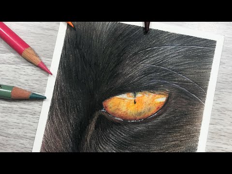 How To Draw a Black Cat Eye Study with Colored Pencil