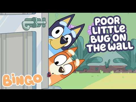 Time For Discovery & Adventure With Bingo 🧡 | Bingo - Official Channel