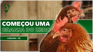 De Costureira a Criadora de Galinhas: A inspiração de Juciara 🪡🐓 | E19