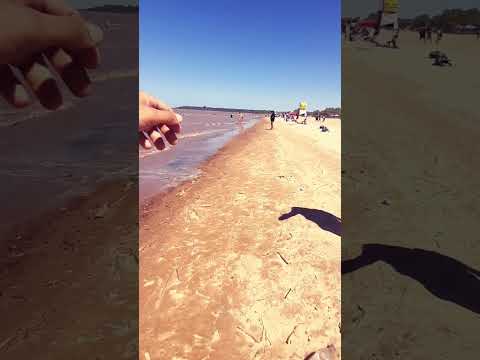 Ramallo, Prov. de Bs. As.         (psdt).....       LAS MALVINAS SON ARGENTINAS