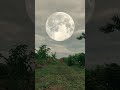 Big big moon 😱🌕 #moon