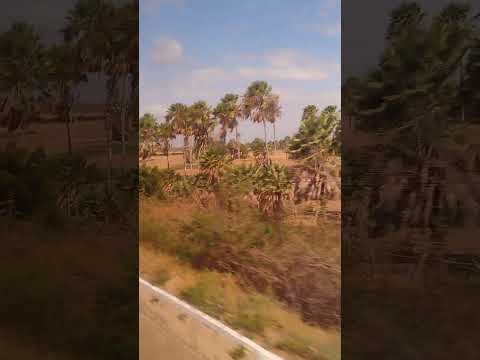 Pelas estradas de Aracati-CE