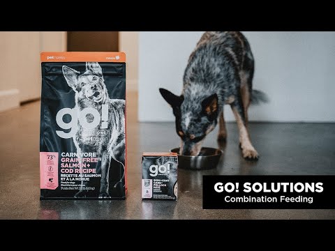 GO! SOLUTIONS: How to Combination Feed