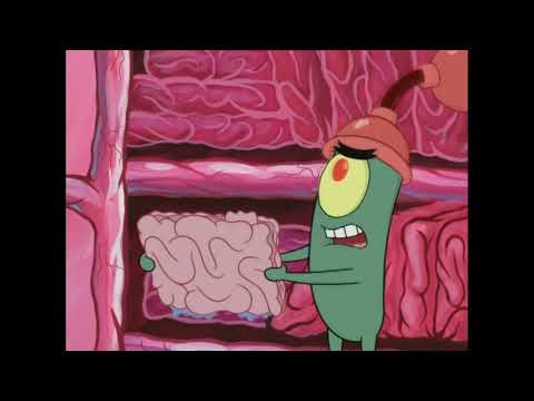 Sounds that make Squidward upset ORIGINAL