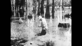 Soldier from the Tropics [A 1943 Film about Malaria Diagnosis, Control &amp; Prevention]