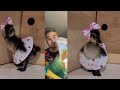 Duck Tales In Real Life Shorts