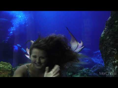 Mein BERUF Meerjungfrau!Real Life Mermaid!