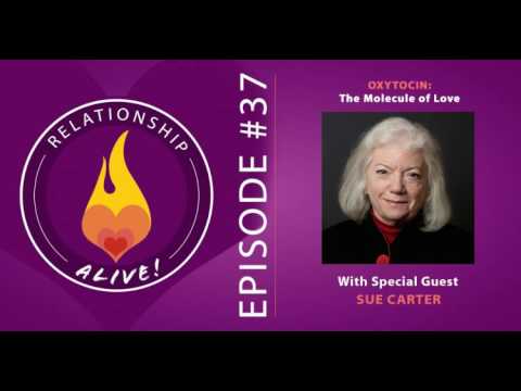 download lagu mp3 mp4 Sue Carter Oxytocin, download lagu Sue Carter Oxytocin gratis, unduh video klip Sue Carter Oxytocin