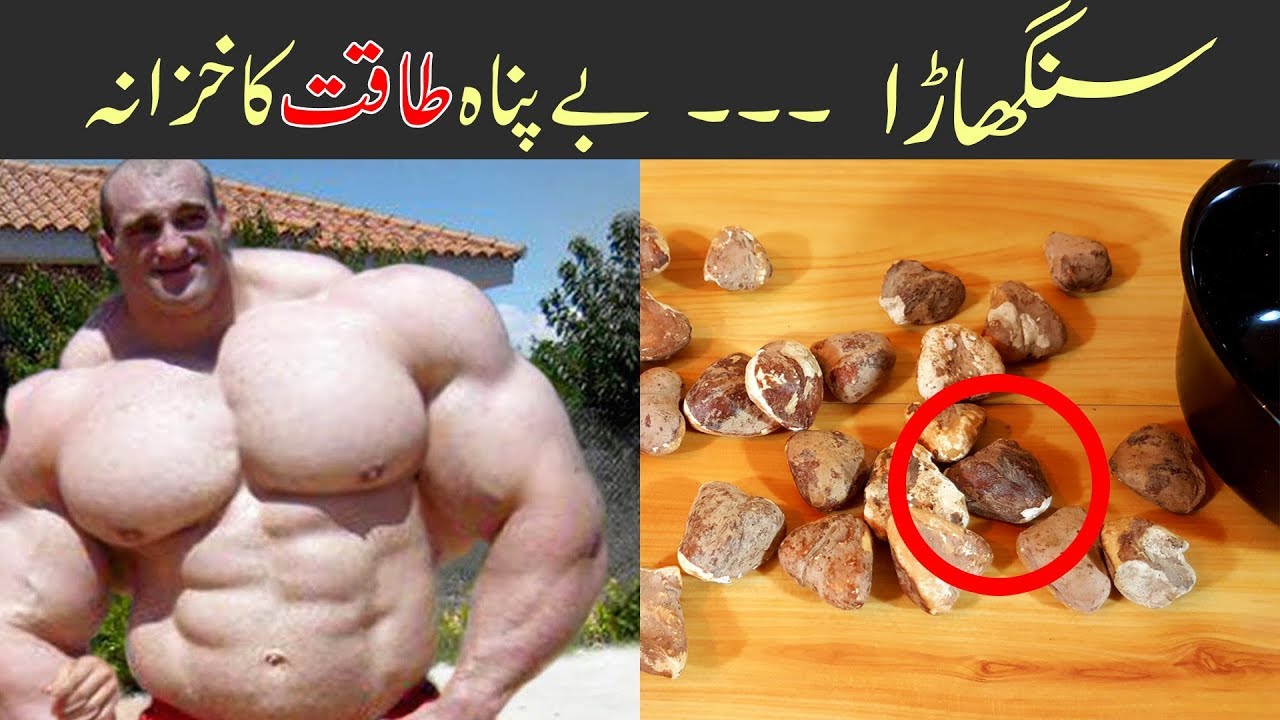 Get Weight Fast With Water Chestnut Singhara Its Health