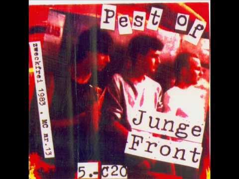 Junge Front  04.Bullenschwein