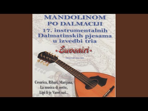 Dalmatinski Potpuri (To Nije Čakula, Vratija Se Šime, Ja Sam Mladi Dalmatinac, Falile Se...