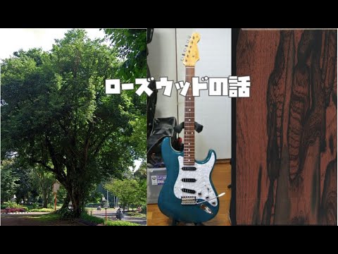 園芸 インディアンローズ