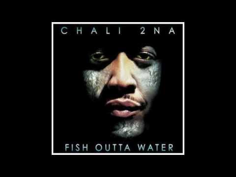 Chali 2Na - controlled coincidence (feat.Kanetic Source)