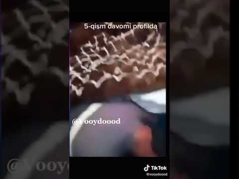 18+ UZB AYOLI JAZMANI BILAN 5 QISIM GOXSHA