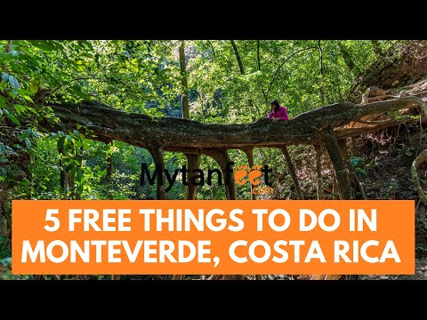 5 cheap or FREE things to do in Monteverde, Costa Rica!