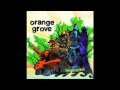 Orange grove - you decide it 