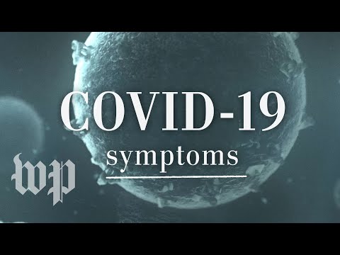 コビド-19やコロナウイルスの症状は？ (What are the symptoms of covid-19 or coronavirus?)