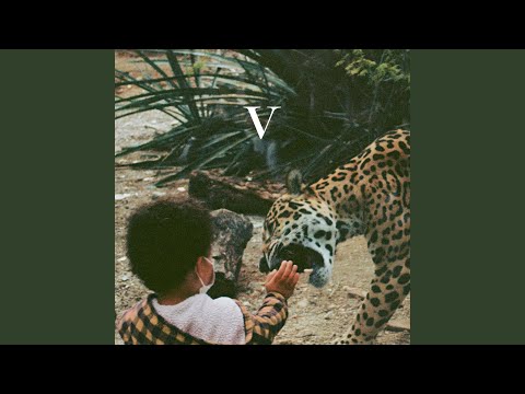 Shin Ramyun - Unknown Mortal Orchestra