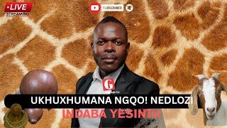 Download lagu THE BEST WAY TO COMMUNICATE NEDLOZI | INDABA YESINTU mp3